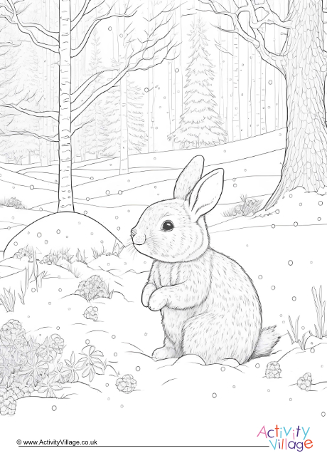 Winter rabbit colouring page 1