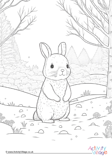 Winter rabbit colouring page 2