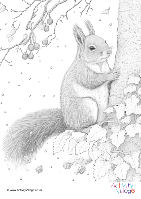 Winter squirrel colouring page 1
