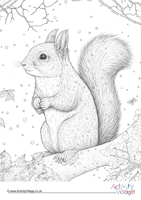 Winter squirrel colouring page 2