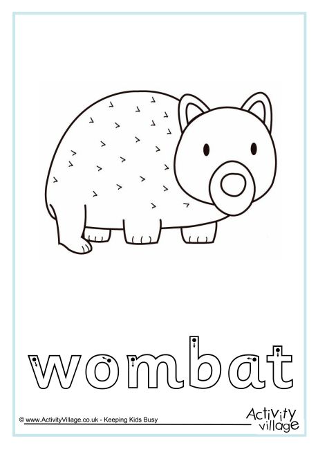 Wombat finger tracing
