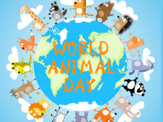 World Animal Day