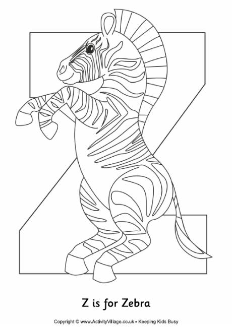Z is for zebra colouring page