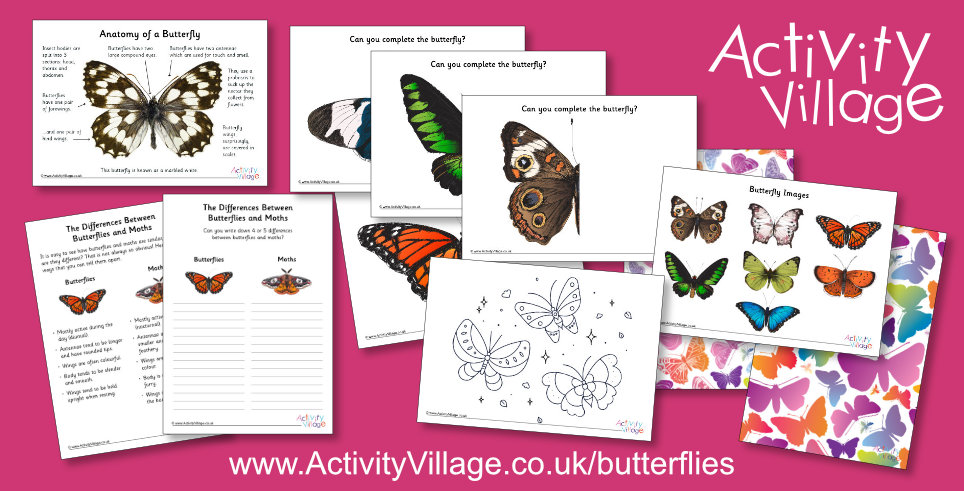Just Some of Our New Butterfly Resources Just Some of Our New Butterfly Resources