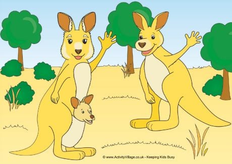New Kangaroo Activities