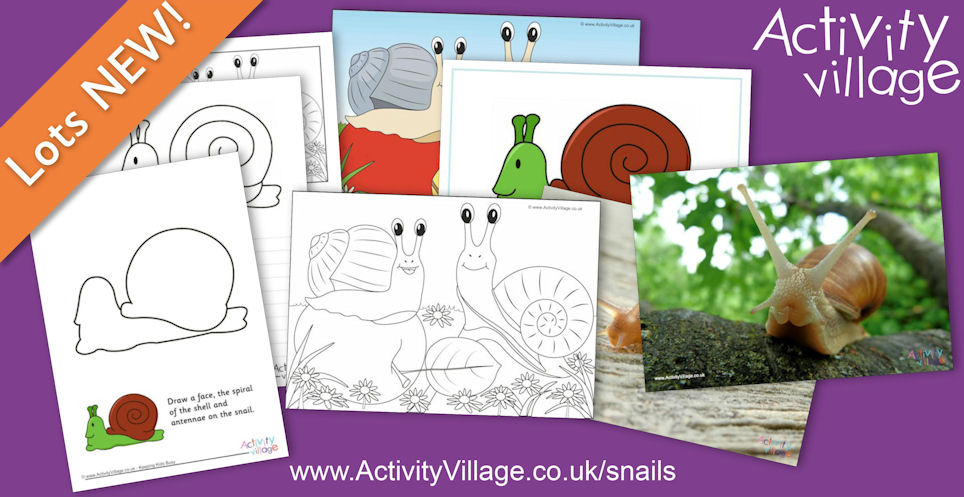 Learn About Snails and Enjoy Our New Snail Activities Learn About Snails and Enjoy Our New Snail Activities