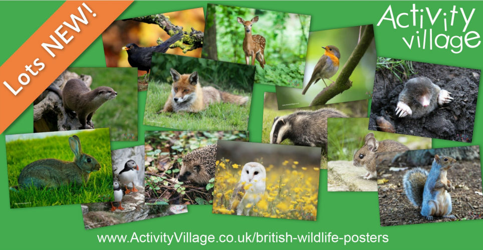 Lovely New Photographic Posters of British Wildlife