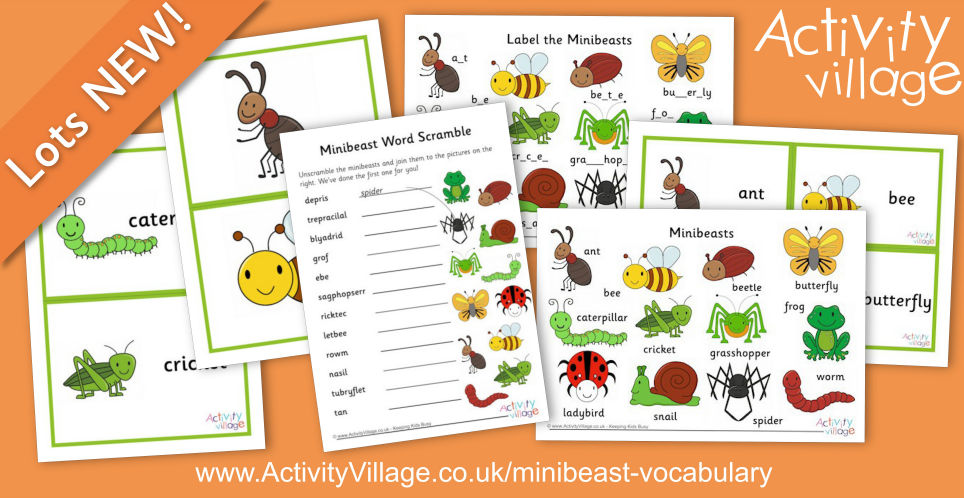 Minibeast Vocabulary Resources with our Extra Cute Minibeast Illustrations