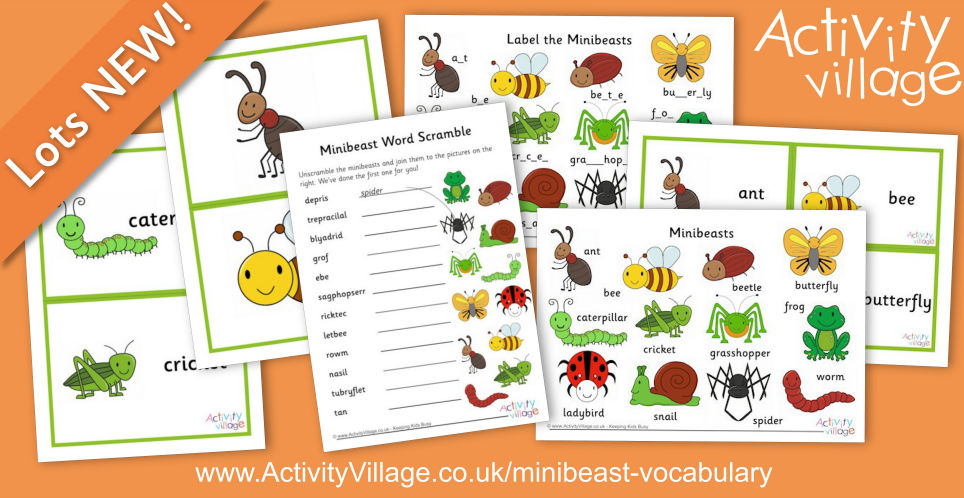 Minibeast Vocabulary Resources with our Extra Cute Minibeast Illustrations Minibeast Vocabulary Resources with our Extra Cute Minibeast Illustrations