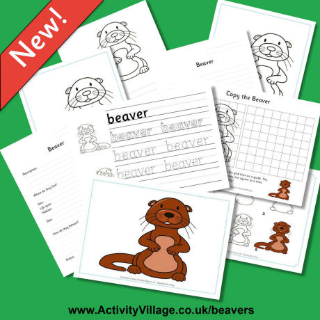 New Beaver Resources