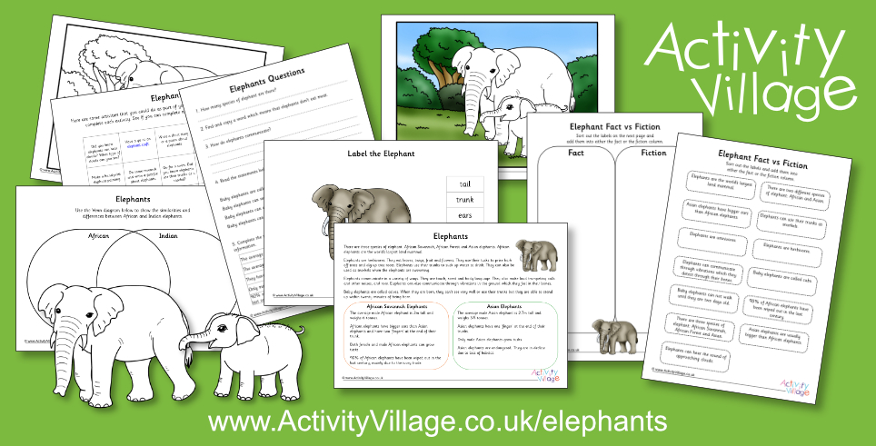 New Elephant Resources New Elephant Resources