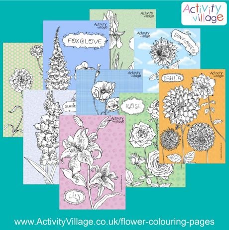 New Flower Colouring Pages with Filled Backgrounds...