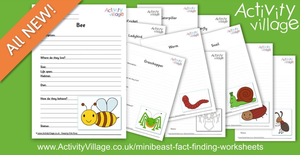 New Minibeast Fact Finding Worksheets for Fun Guided Research