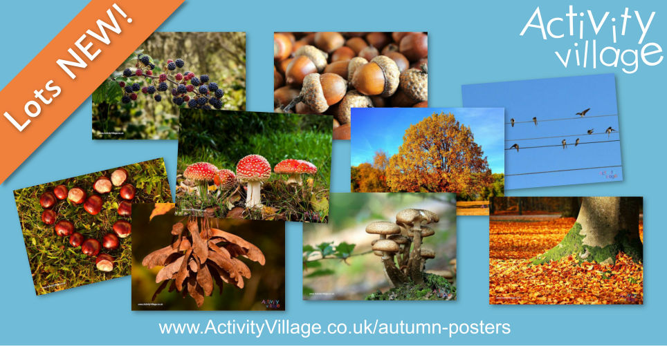 New Photographic Posters for Autumn Displays and Conversations New Photographic Posters for Autumn Displays and Conversations