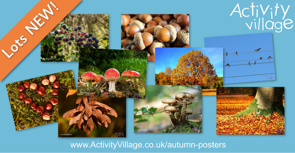 New Photographic Posters for Autumn Displays and Conversations