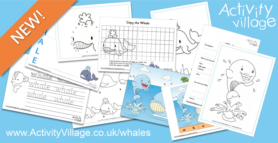 New Whale Activities New Whale Activities