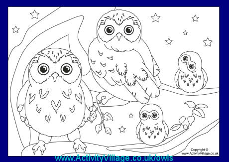 More Owls at Activity Village!