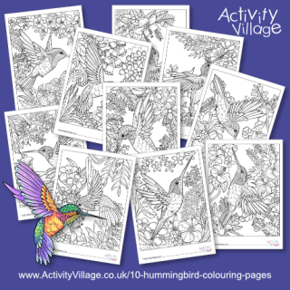 Beautiful Hummingbird Colouring Pages