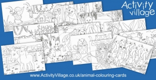 Adding to our Collection of Animal Colouring Cards