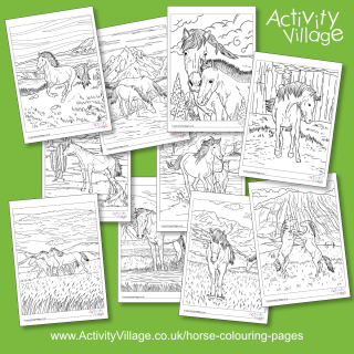 New Beautiful Wild Horses Colouring Pages