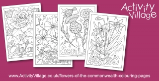 Colouring the National Flowers of the UK