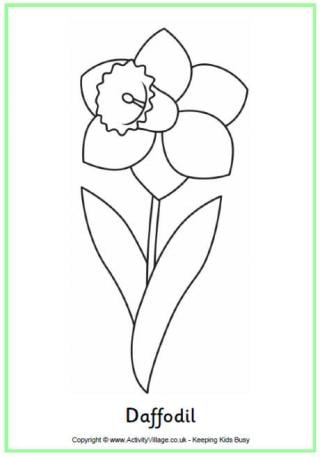 Daffodil colouring page