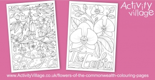 New Flowers of the Commonwealth Colouring Pages