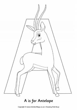A is for Antelope Colouring Page