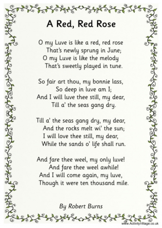 Our Robert Burns Resources A Red Red Rose