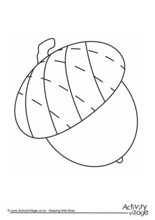 Acorn Colouring Page