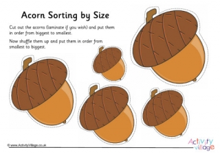 Acorn Size Sorting