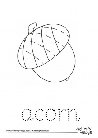 Acorn Word Tracing