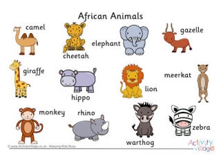 African Animal Vocabulary