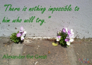 Alexander the Great quote poster