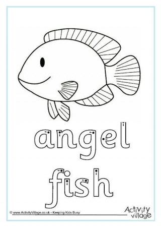 Angel Fish Finger Tracing