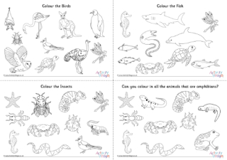 Animal Classification Colouring Pages