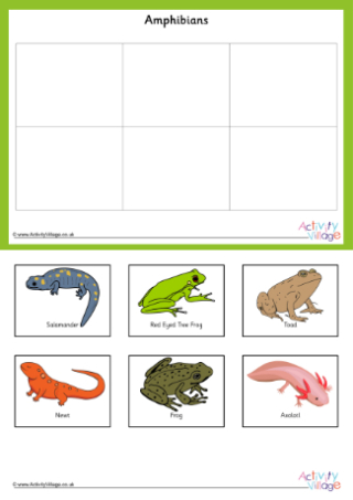 Animal Classification Memory Game