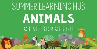 Summer Learning Hub Week 5 - Animals!