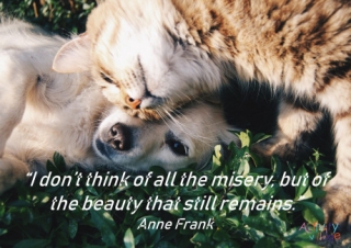 Anne Frank Quote Poster