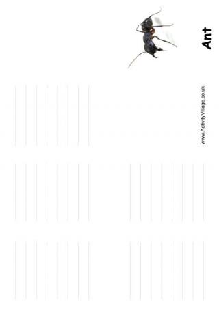 Ant Booklet