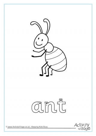 Ant Finger Tracing