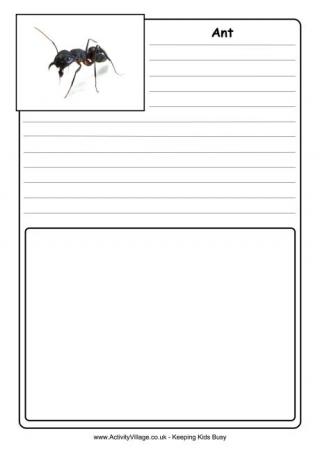 Ant Notebooking Page