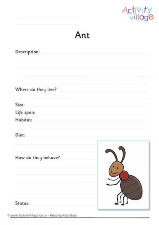 Ant Worksheet