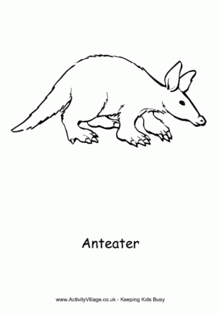 Anteater Colouring Page