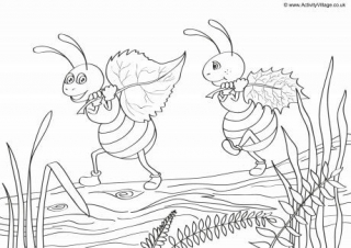 Ants Scene Colouring Page