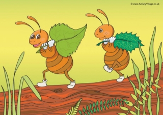 Ants Scene Poster
