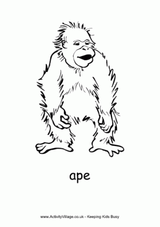 Ape Colouring Page