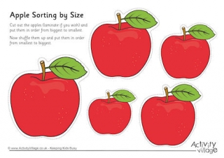 cut the fruits from smallest to biggest