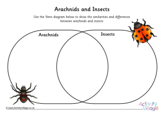 Arachnids vs Insects Venn Diagram