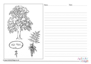 Ash Tree Story Paper